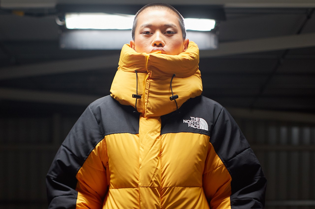 the north face colors